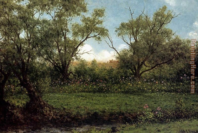 Brookside Asters In A Field